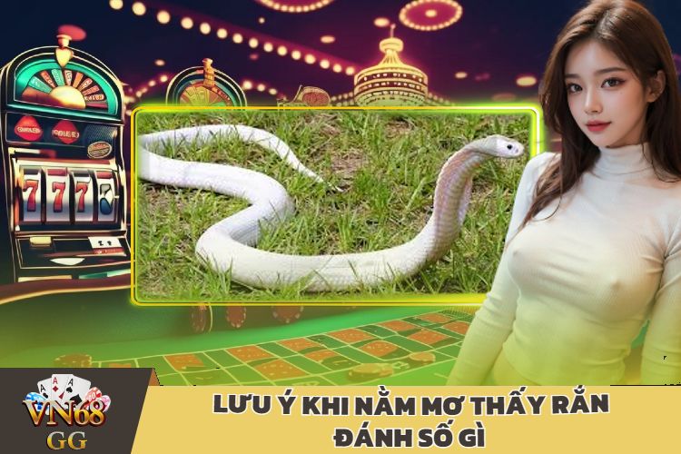 Lưu Ý Khi Nằm Mơ Thấy Rắn Đánh Số Gì